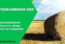 Изображение - News nalogooblozhenie-dlya-kfh-218x150