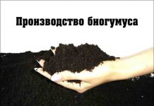 Изображение - News proizvodstvo-biogumusa-tehnologiya-218x150